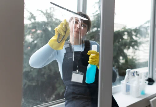 Nettoyage de vitres intérieures et extérieures à Barlieu